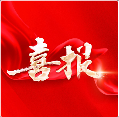 履职盛会启新程｜我会会长刘军亮当选岳麓区人大常委会委员，区人大代表、秘书长周颖娟出席会议